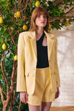 Blazer Alfaiataria Risca de Giz Amarelo Milk Litt